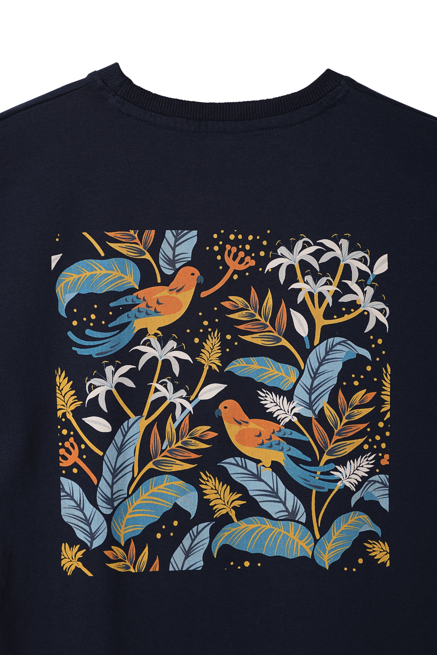 Birds T-Shirt For Boys